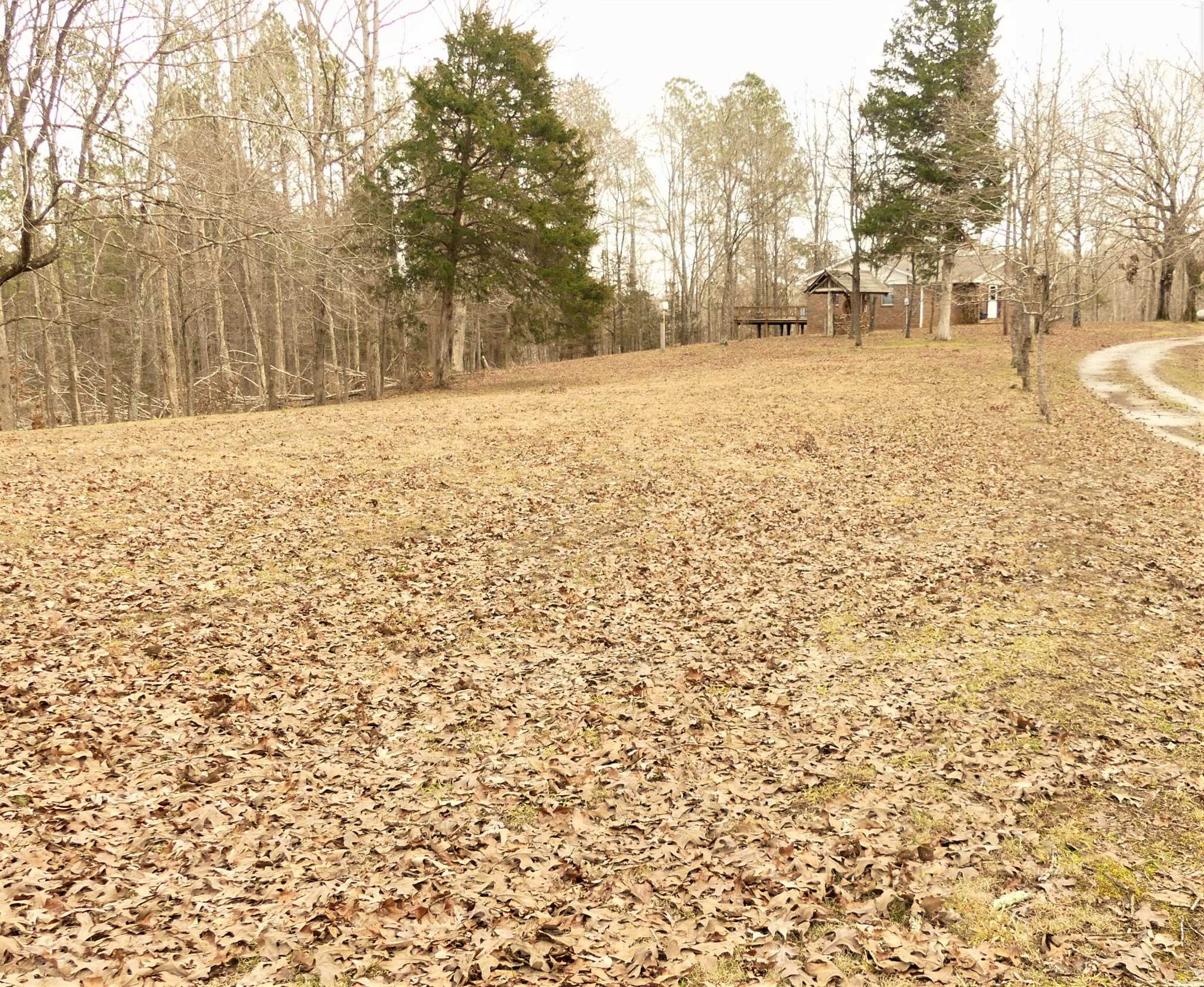 2502 Rocky Spring Road Holladay, TN 38341 - Photo 34 of 34 Gallery Image 34