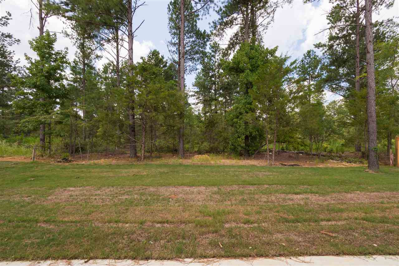 158 Hampton Ridge Madison, MS 39110 - Photo 28 of 34 Photo 28