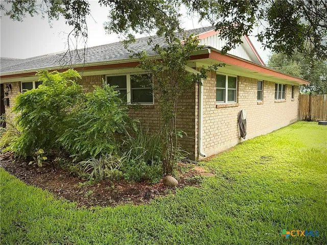 a view of a yard with plants and large tree