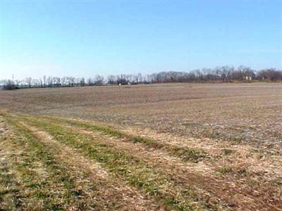 949 Cynthiana Road Paris, KY 40361 - Photo 9 of 11 Back part of farm