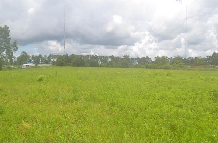10775 Old Highway 31 Daphne, AL 36527 - Photo 1 of 6