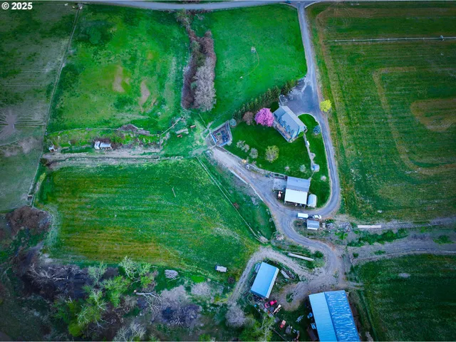 a view of a flower in a yard