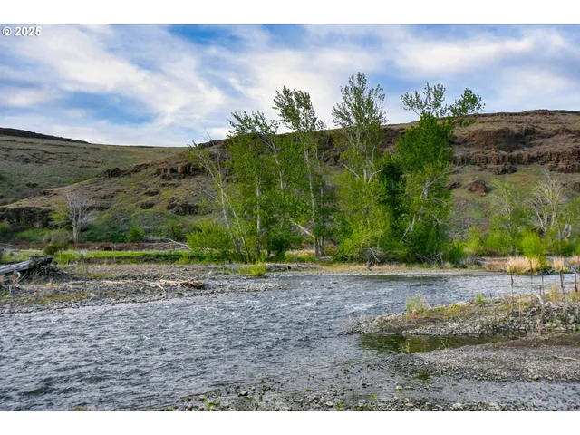 a view of a yard with an trees