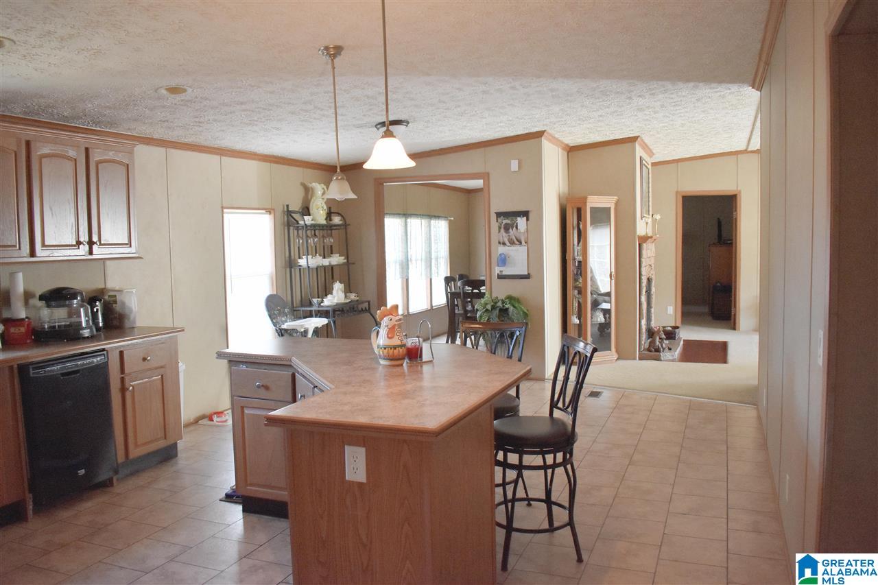 49 Jim Bagwell Road Empire, AL 35063 - Photo 2 of 16