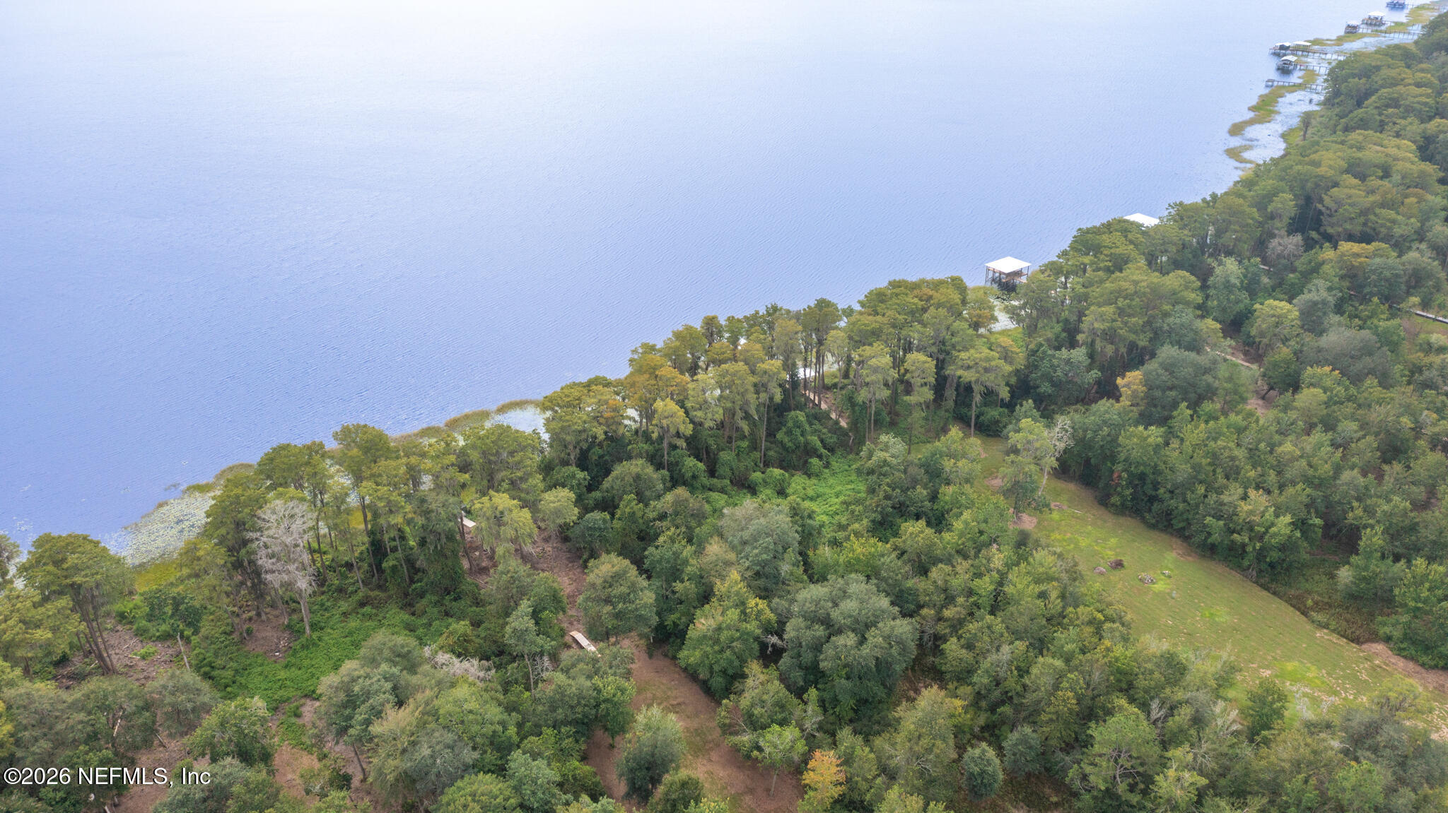 0 Southwest 80th Place Hampton, FL 32044 - Photo 4 of 10 DJI_0295