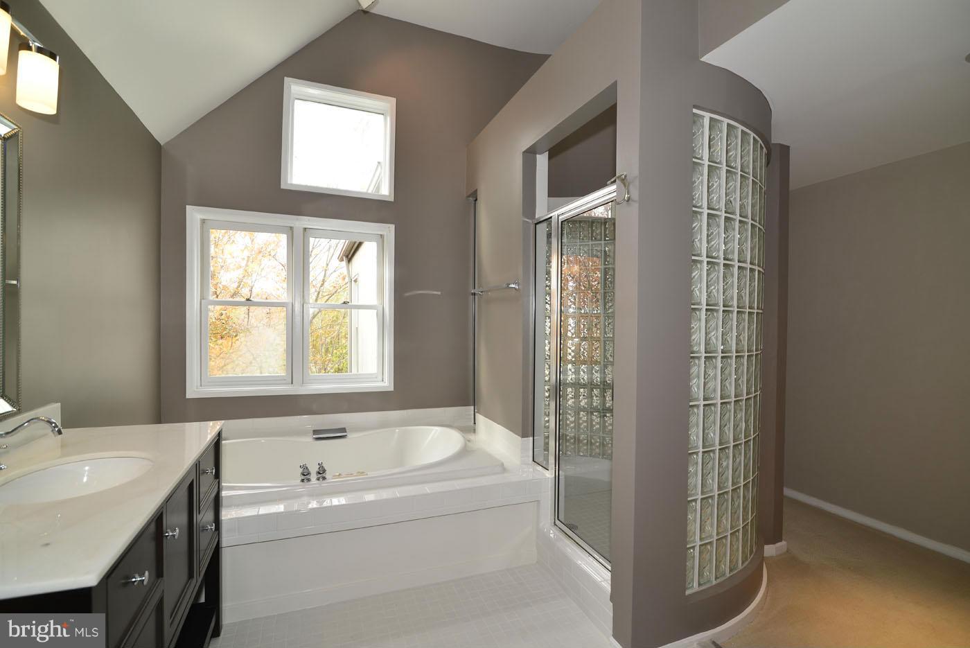 2040 Beacon Place Reston, VA 20191 - Photo 23 of 30 a bathroom with a bathtub a sink and a window