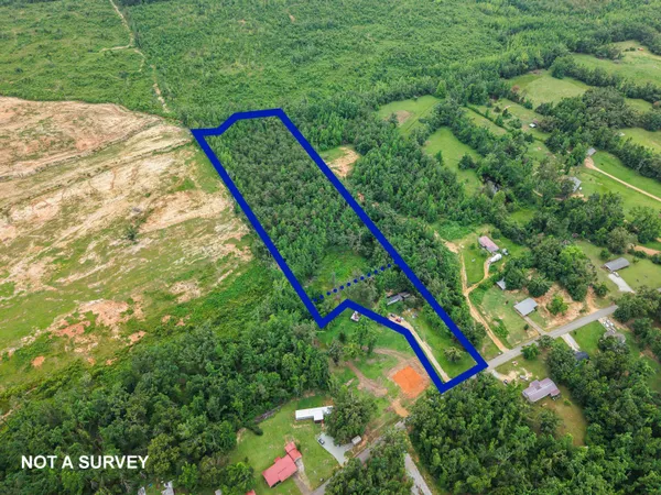 a aerial view of a yard