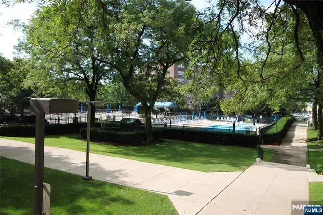 a view of a park with trees