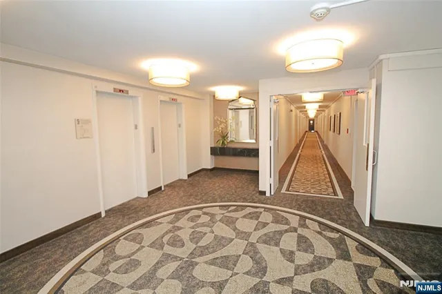 a view of a garden with plants and large trees