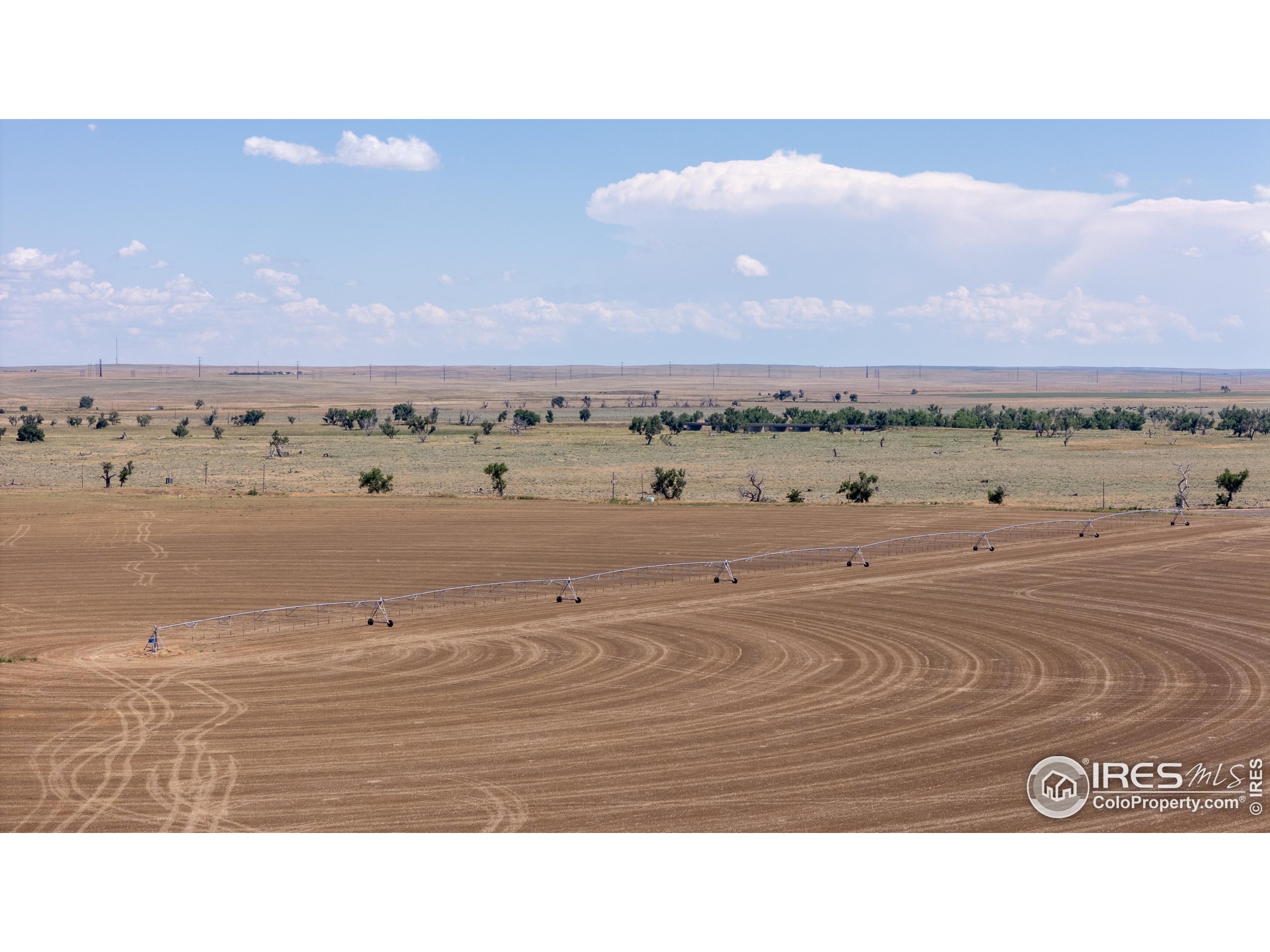 0 Tbd Wiggins, CO 80654 - Photo 3 of 22 a black and white photo of a room