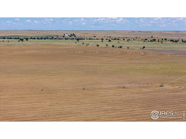 a black and white photo of a lake