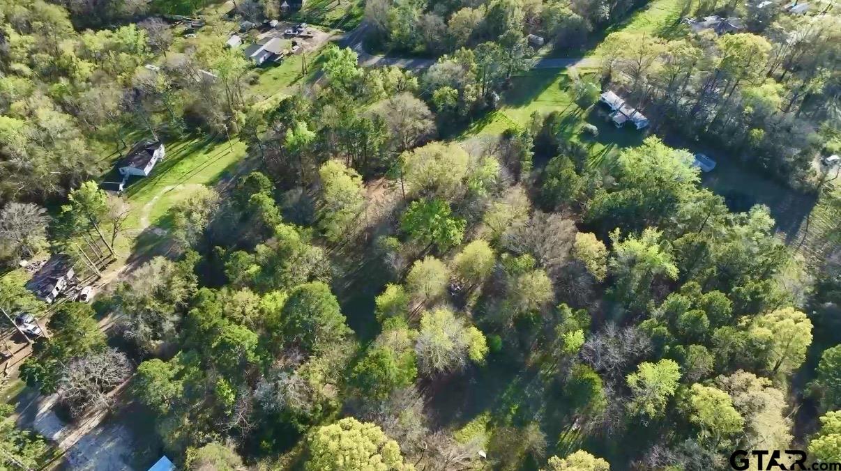 10933 County Road 384 Tyler, TX 75708 - Photo 4 of 8