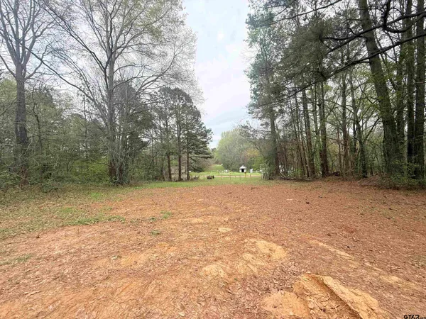 a view of outdoor space with large trees
