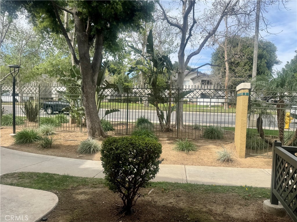 2155 Highpointe Drive Corona, CA 92879 - Photo 13 of 14 a view of a yard with plants and tree