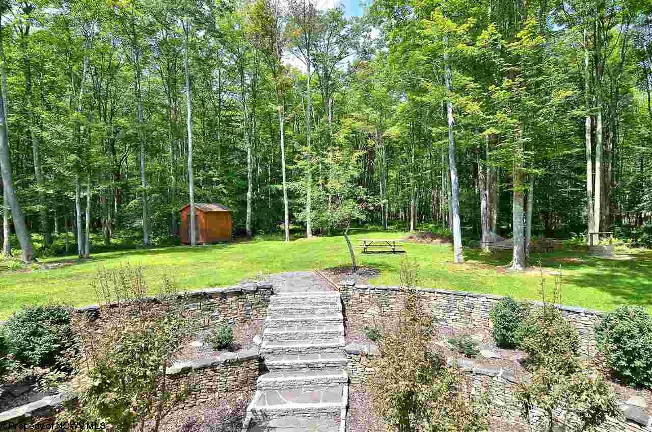 611 Bobcat Road Davis, WV 26260 - Photo 18 of 20 Gallery Image 18