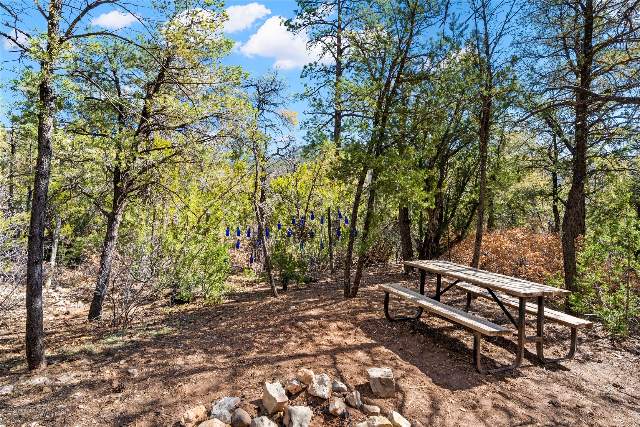 575 Redondo Road Jemez Springs, NM 87025 - Photo 38 of 57