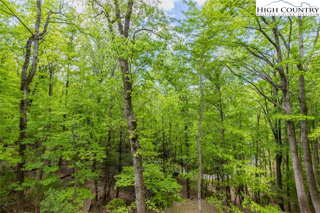 495 Horseshoe Ridge Road East Deep Gap, NC 28618 - Photo 33 of 33 a view of a lush green forest