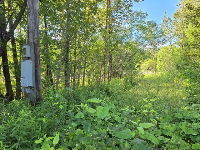 $30,000 | Lot 36 Grimes Road, Caribou, ME 04736