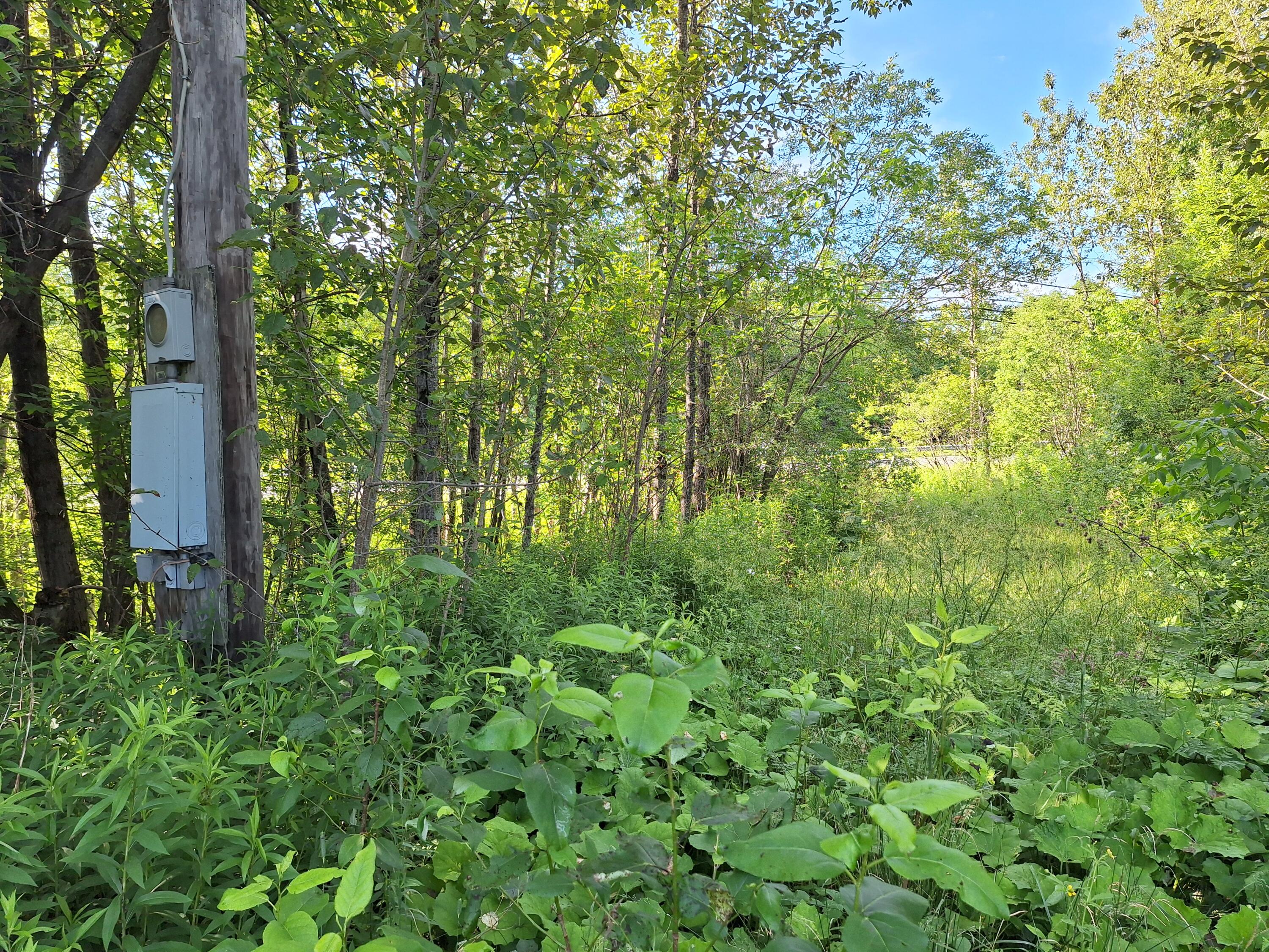 Lot 36 Grimes Road Caribou, ME 04736 - Photo 11 of 31 20250708_172111