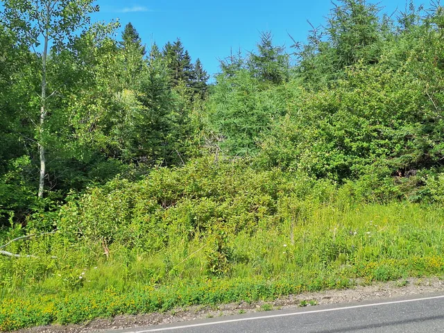 $30,000 | Lot 36 Grimes Road, Caribou, ME 04736