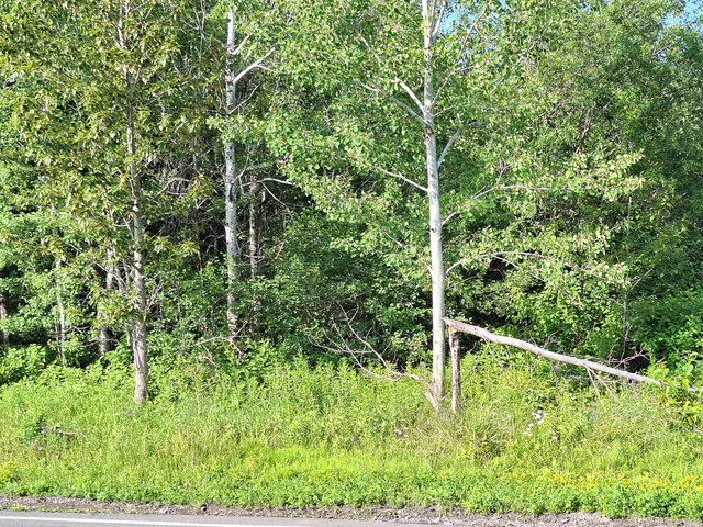 $30,000 | Lot 36 Grimes Road, Caribou, ME 04736