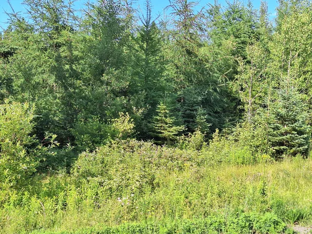 $30,000 | Lot 36 Grimes Road, Caribou, ME 04736