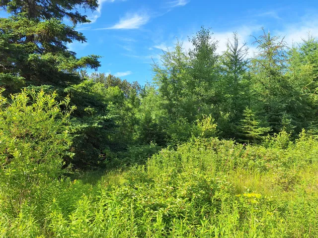 $30,000 | Lot 36 Grimes Road, Caribou, ME 04736