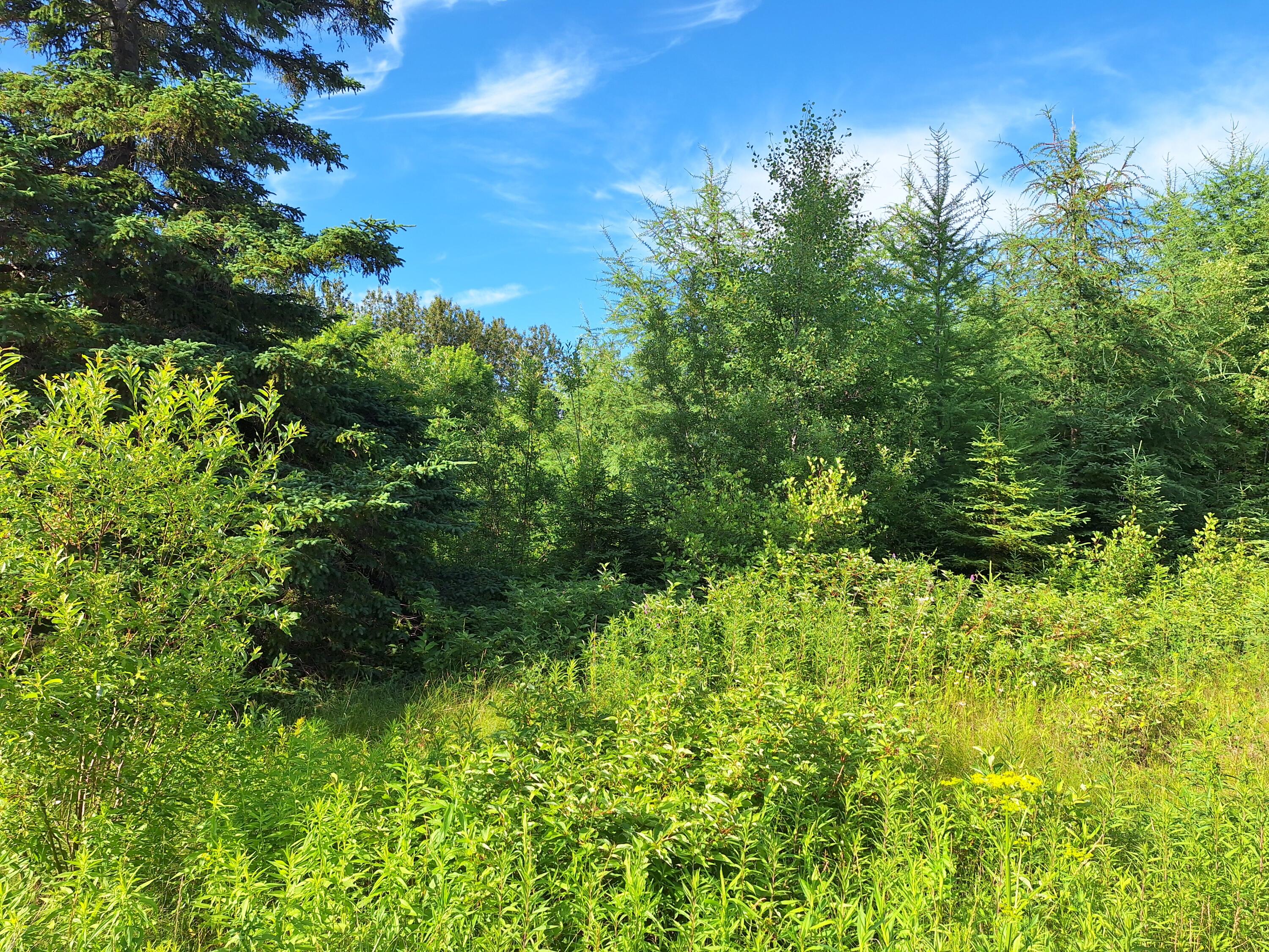 Lot 36 Grimes Road Caribou, ME 04736 - Photo 20 of 31 20250708_171544
