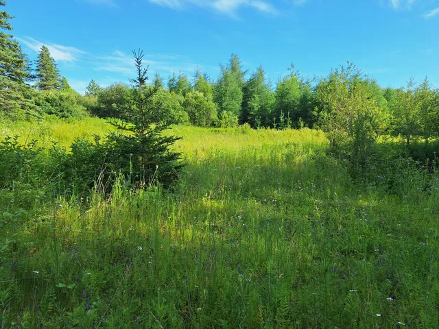 $30,000 | Lot 36 Grimes Road, Caribou, ME 04736