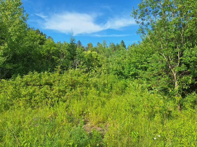 $30,000 | Lot 36 Grimes Road, Caribou, ME 04736