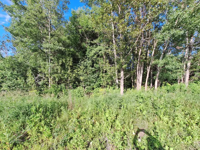 $30,000 | Lot 36 Grimes Road, Caribou, ME 04736