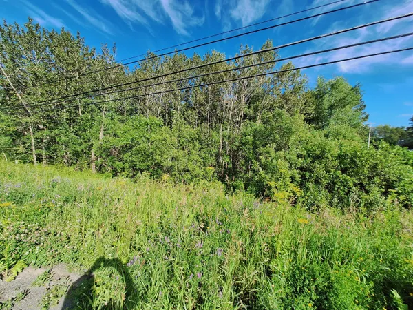 $30,000 | Lot 36 Grimes Road, Caribou, ME 04736