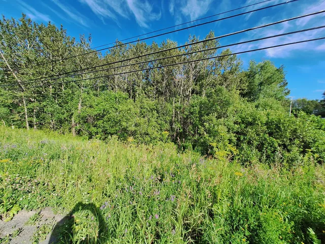 $30,000 | Lot 36 Grimes Road, Caribou, ME 04736