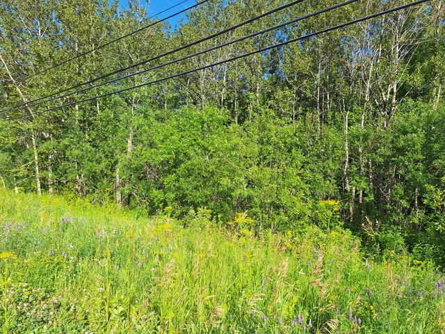 $30,000 | Lot 36 Grimes Road, Caribou, ME 04736