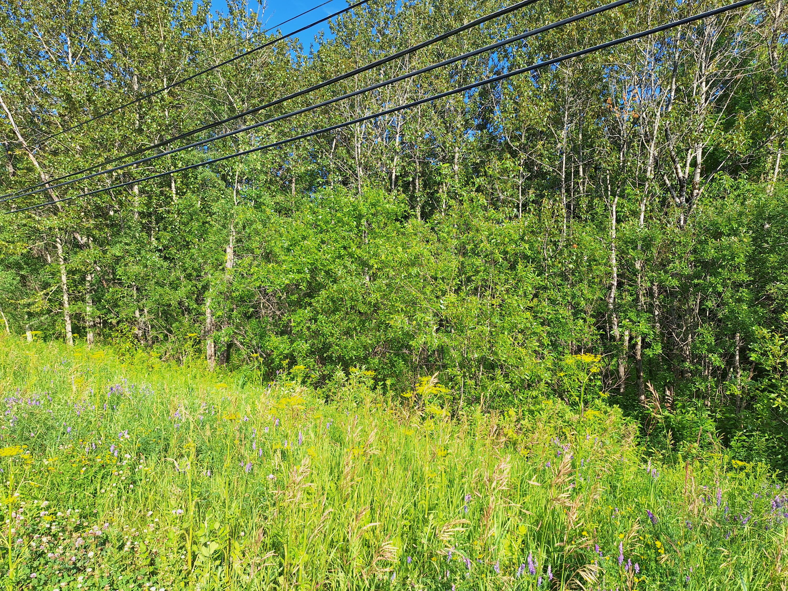 Lot 36 Grimes Road Caribou, ME 04736 - Photo 24 of 31 20250708_171732