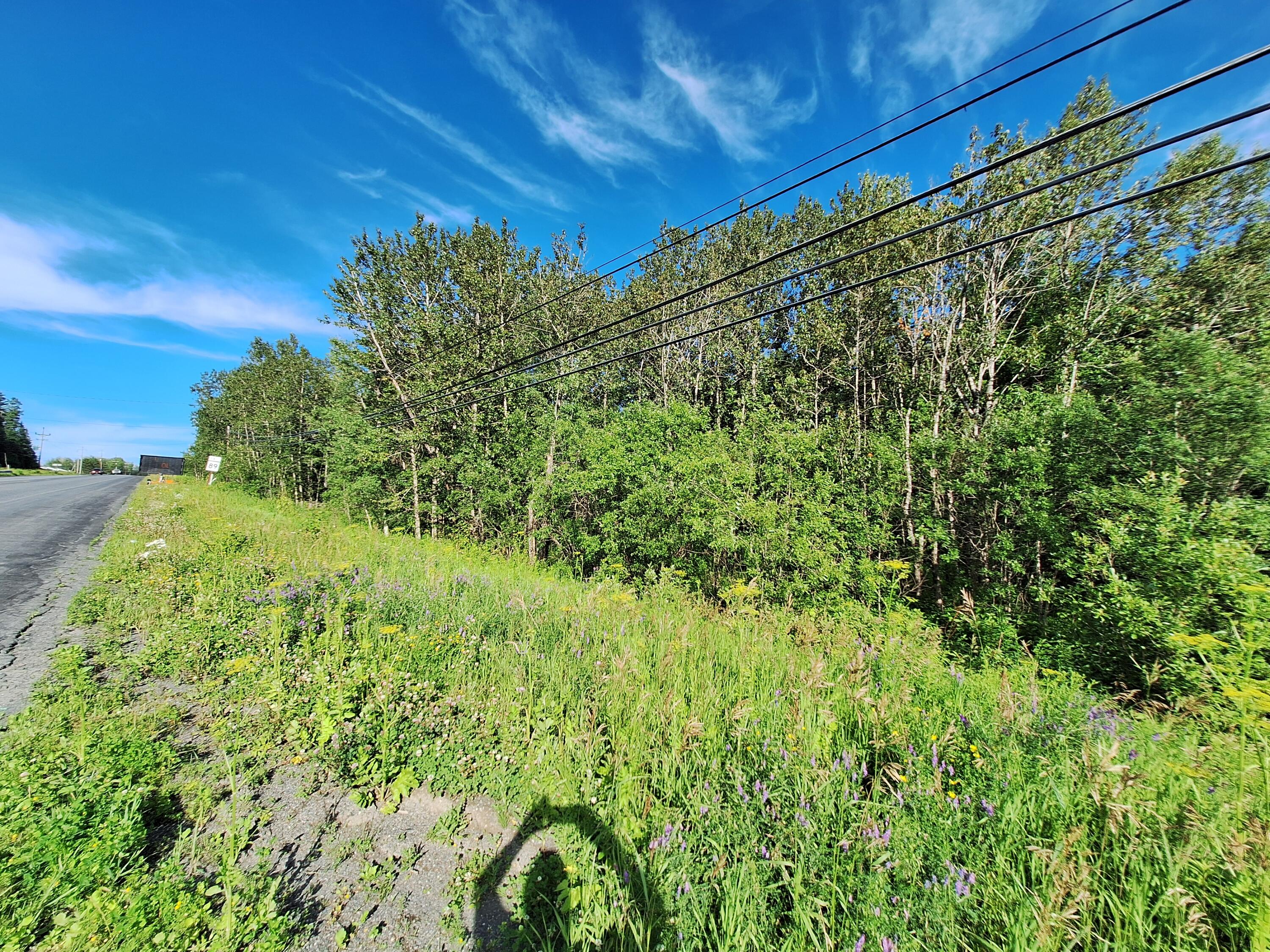 Lot 36 Grimes Road Caribou, ME 04736 - Photo 25 of 31 20250708_171737