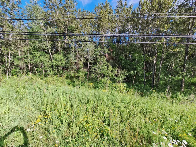 $30,000 | Lot 36 Grimes Road, Caribou, ME 04736