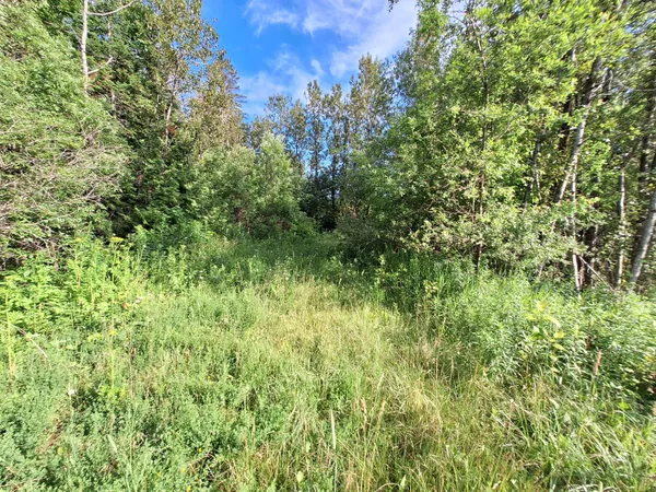 $30,000 | Lot 36 Grimes Road, Caribou, ME 04736