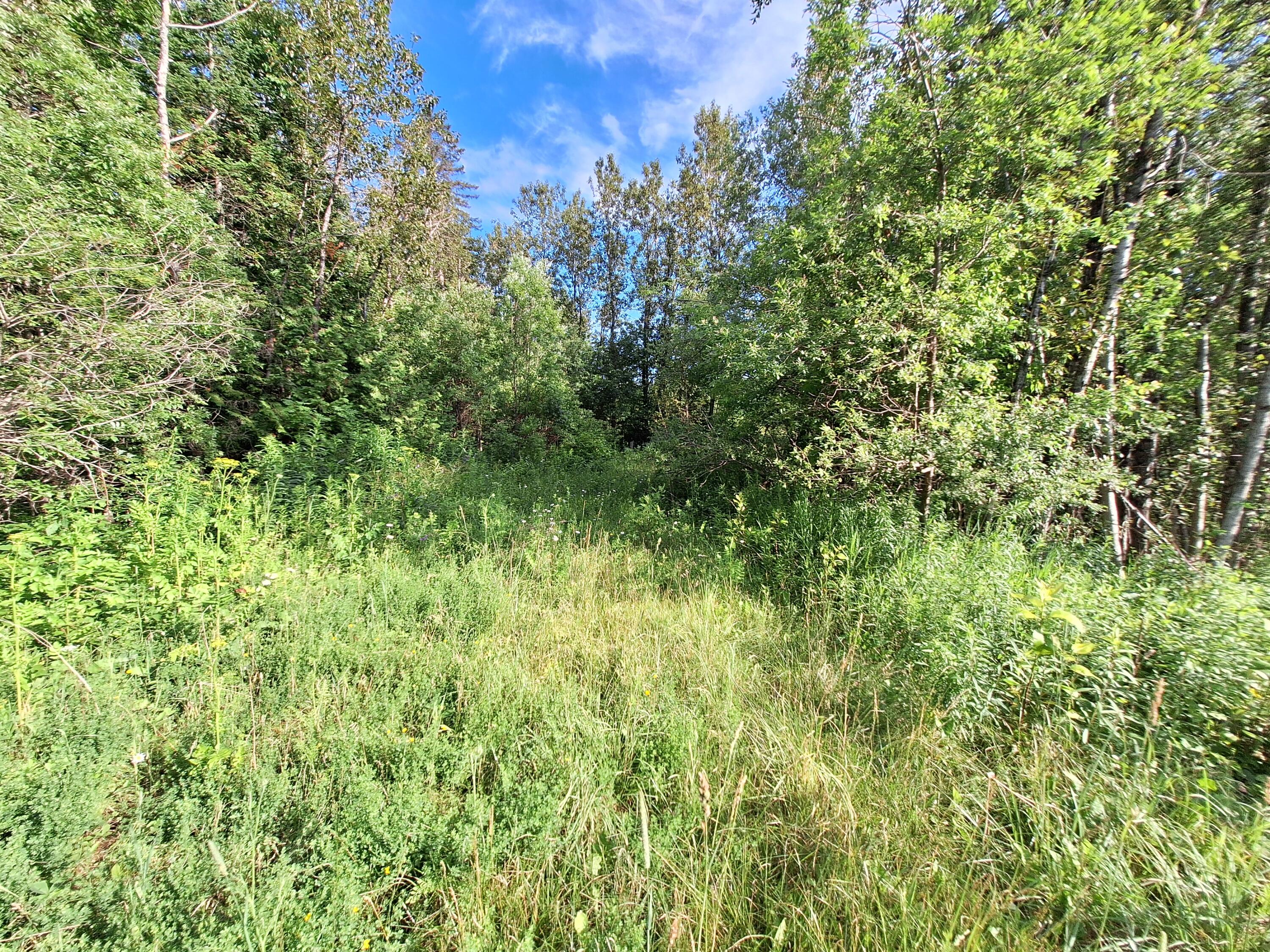 Lot 36 Grimes Road Caribou, ME 04736 - Photo 28 of 31 20250708_171907