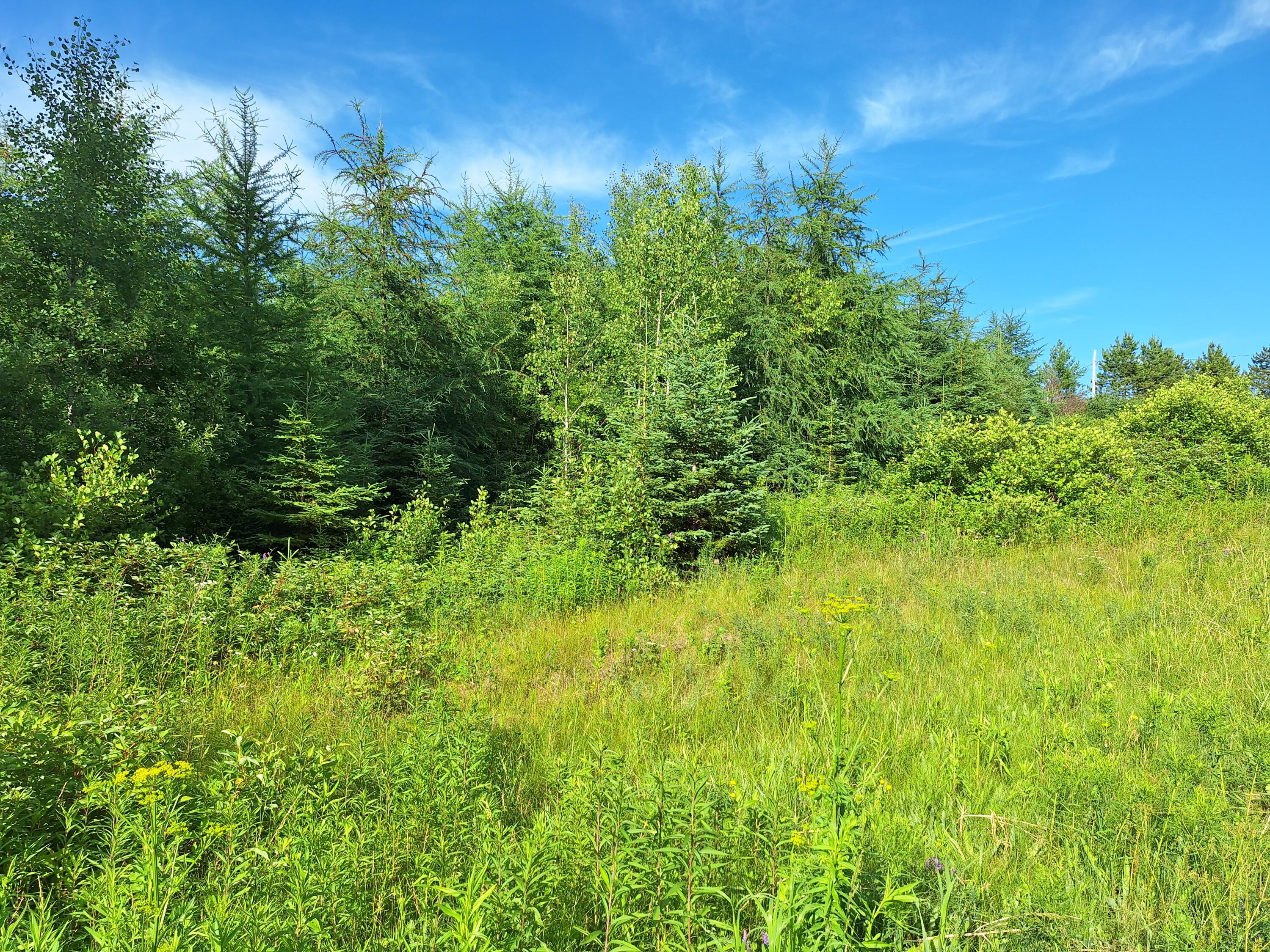 Lot 36 Grimes Road Caribou, ME 04736 - Photo 3 of 31 20250708_171547