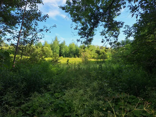 $30,000 | Lot 36 Grimes Road, Caribou, ME 04736