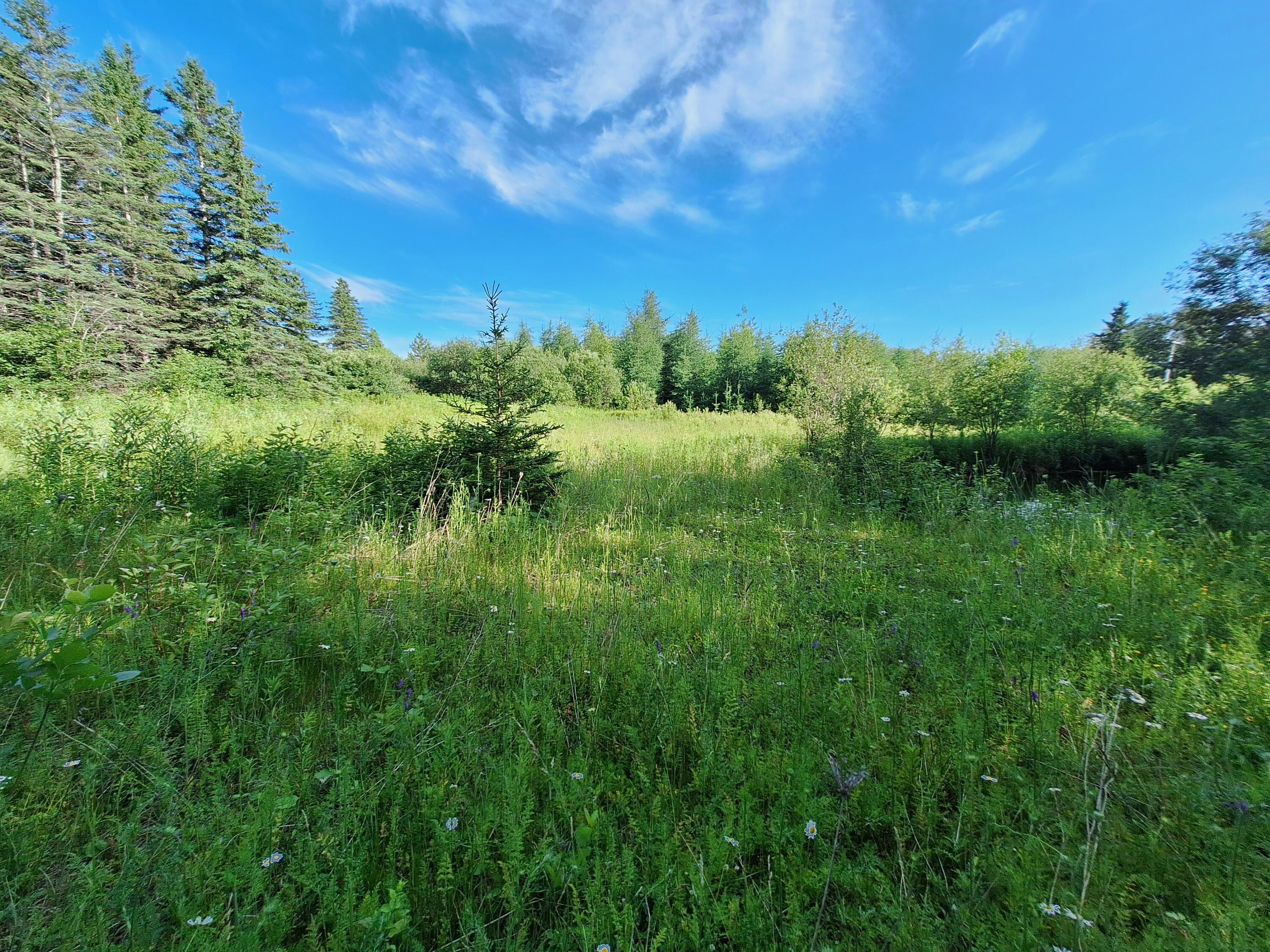 Lot 36 Grimes Road Caribou, ME 04736 - Photo 6 of 31 20250708_172021