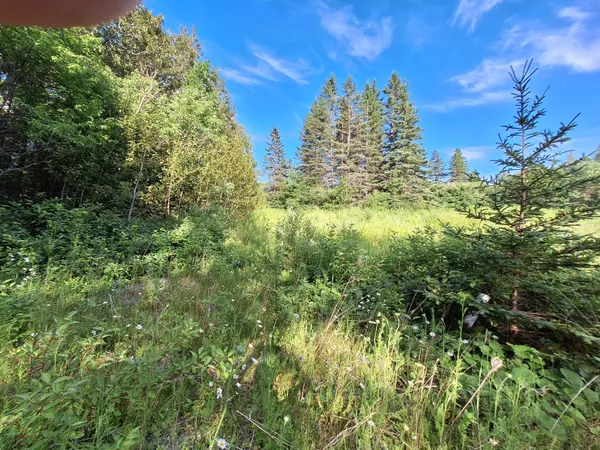 $30,000 | Lot 36 Grimes Road, Caribou, ME 04736