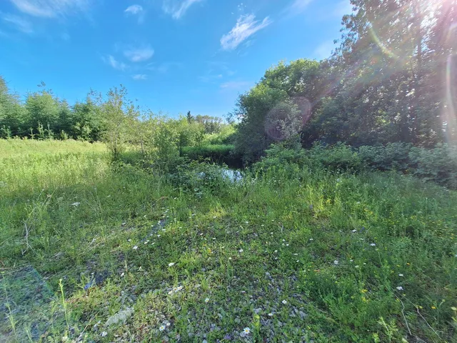 $30,000 | Lot 36 Grimes Road, Caribou, ME 04736