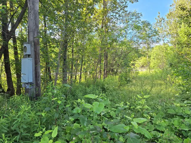 $30,000 | Lot 36 Grimes Road, Caribou, ME 04736