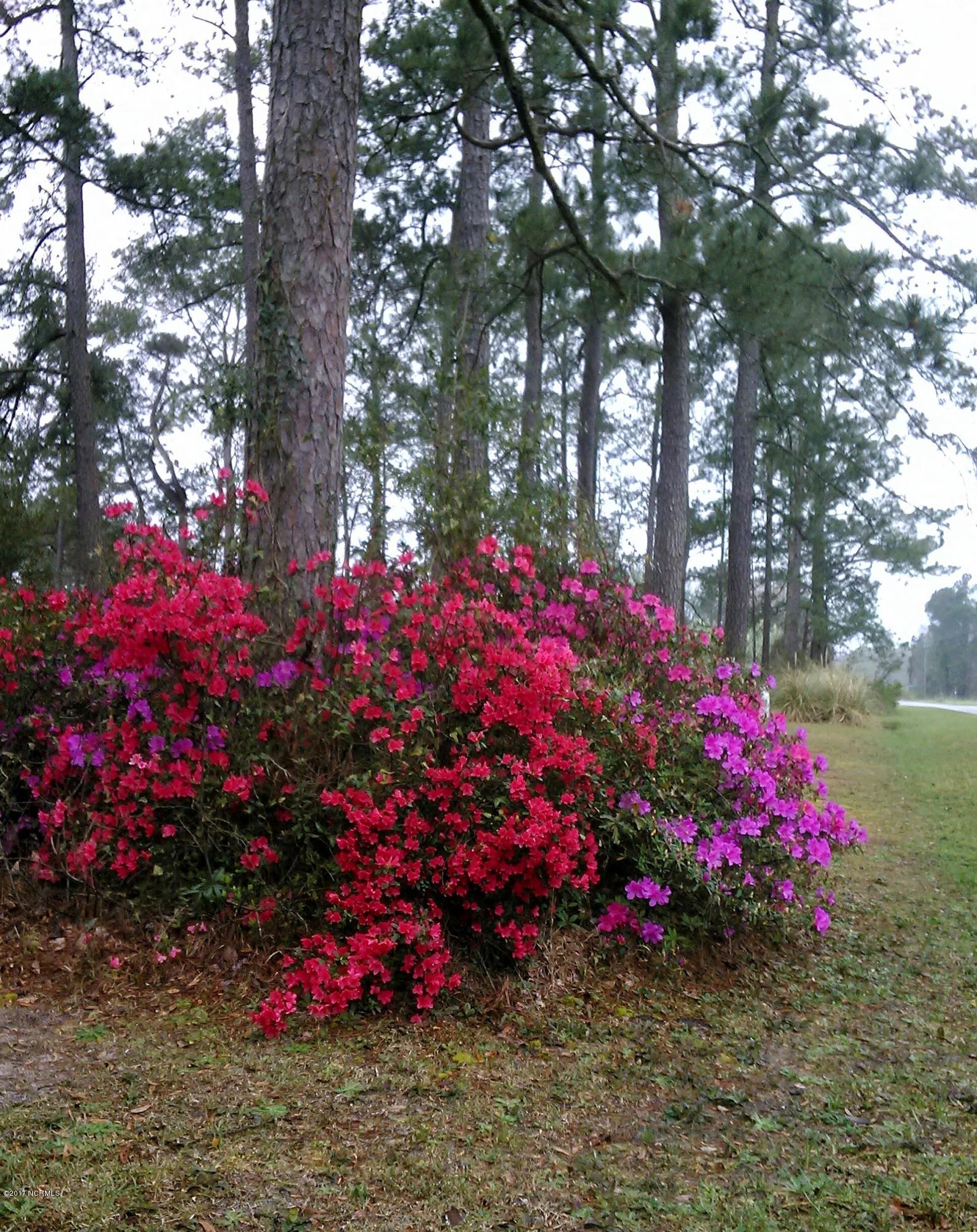 6443 Funston Road Southeast Winnabow, NC 28479 - Photo 25 of 25 EasterSunday16