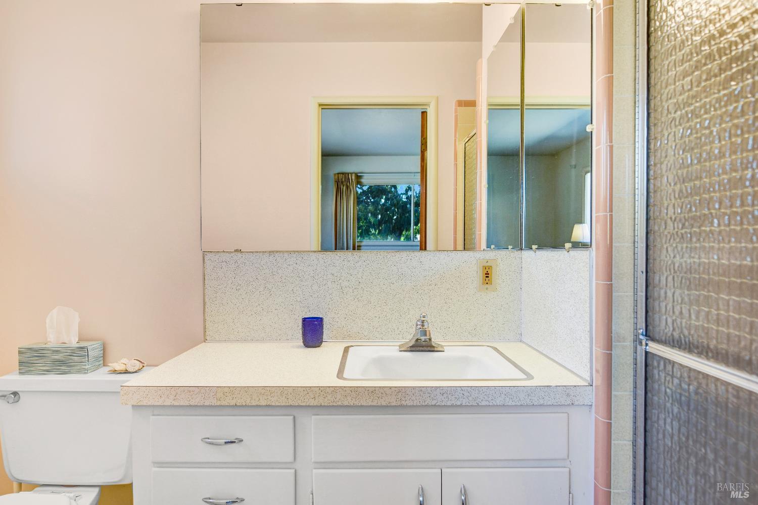 2040 Olive Avenue St. Helena, CA 94574 - Photo 15 of 25 a bathroom with a sink and a mirror