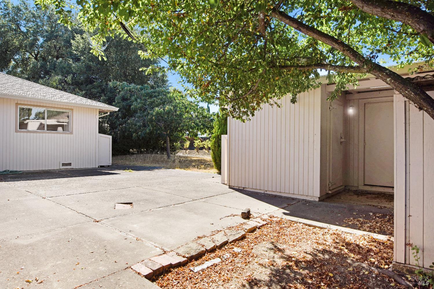2040 Olive Avenue St. Helena, CA 94574 - Photo 22 of 25 a backyard of a house with large trees and a barn