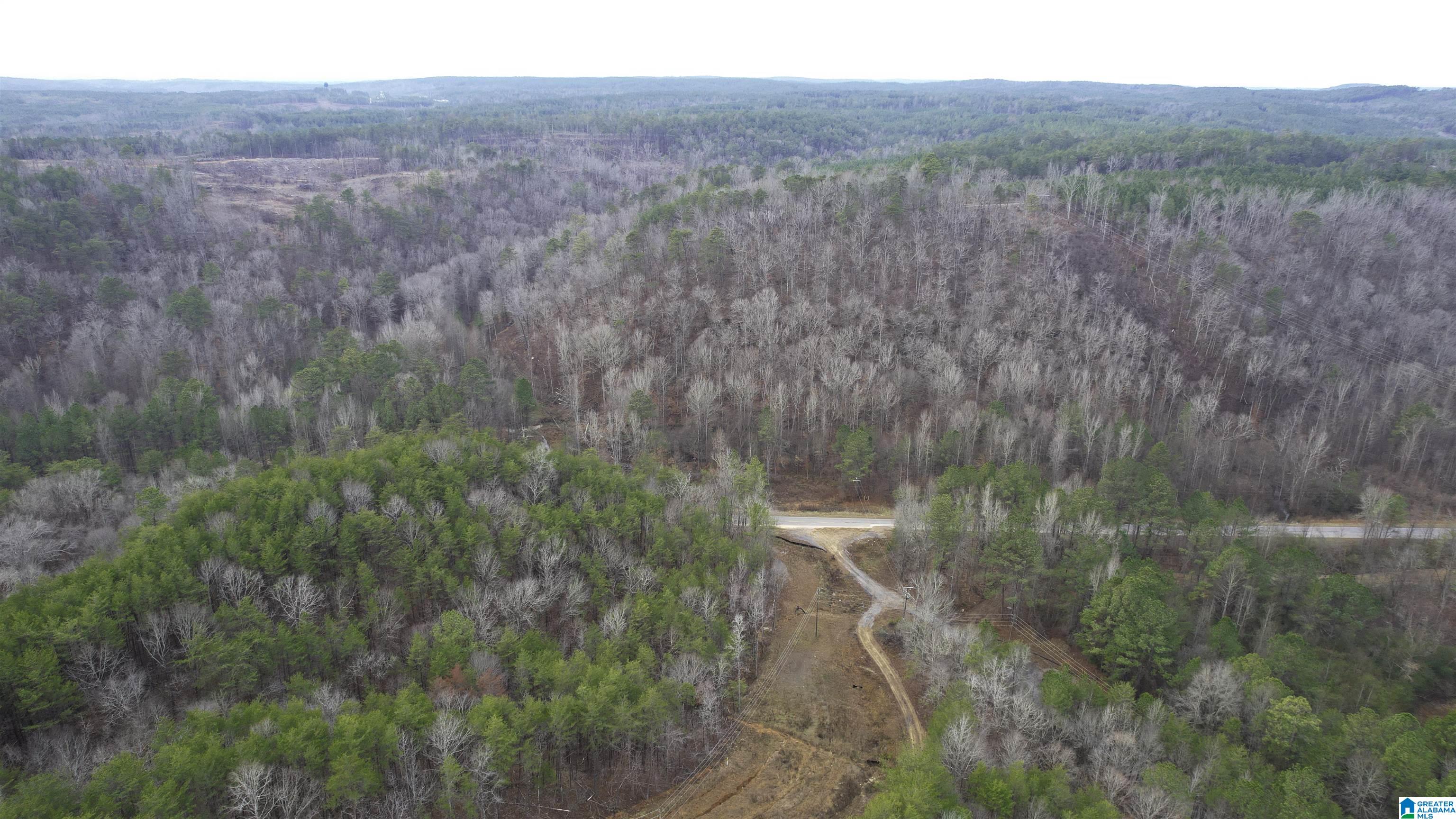 8751 Groundhog Road, Unit 41 ACRES Adger, AL 35006 - Photo 5 of 17