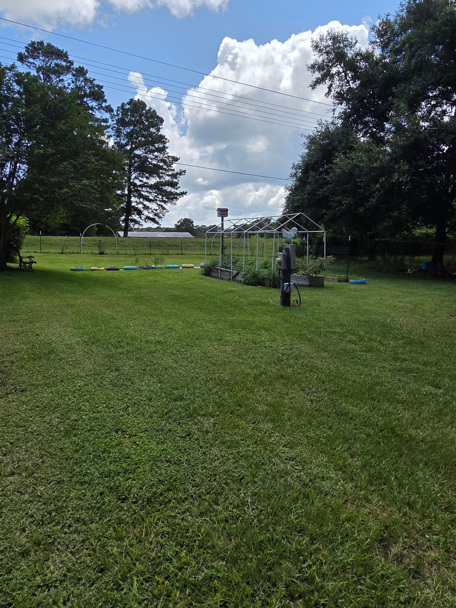 11 Pine Road Coldspring, TX 77331 - Photo 26 of 32 a view of a green field